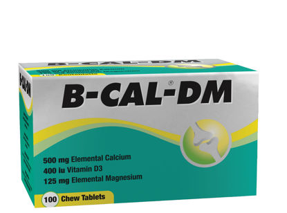 Picture of B-Cal-DM Chewable Tablets 100's