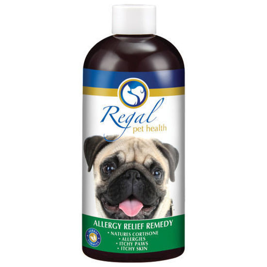 Picture of Regal Allergy Relief Remedy 400ml