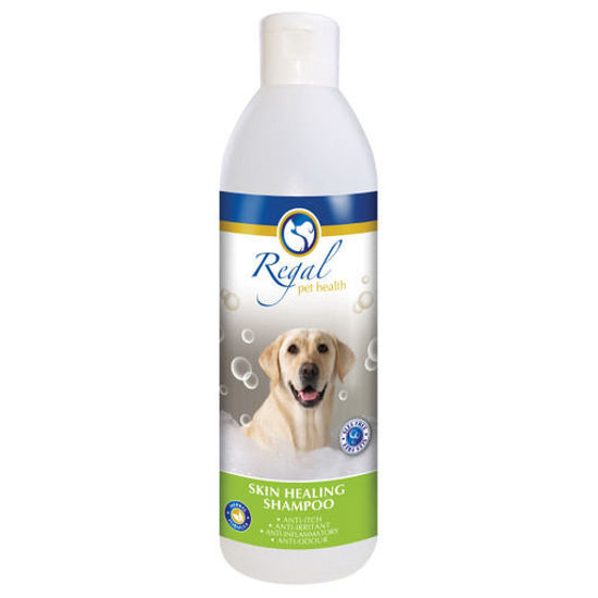 Picture of Regal Skin Healing Shampoo 250ml
