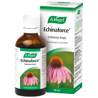 Picture of A.Vogel Echinaforce Drops 50ml